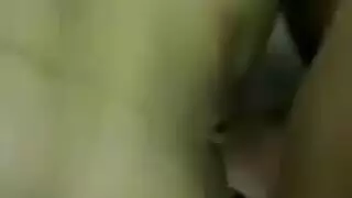 حديقة أسد امريكي اللياقه البدنيه