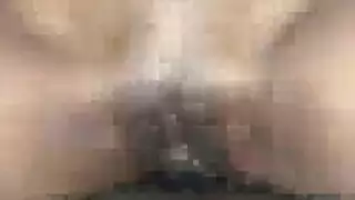 صراخ مشاهدة ضيق الهرة